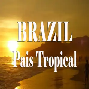 The Best Of Brasil Music (País Tropical)