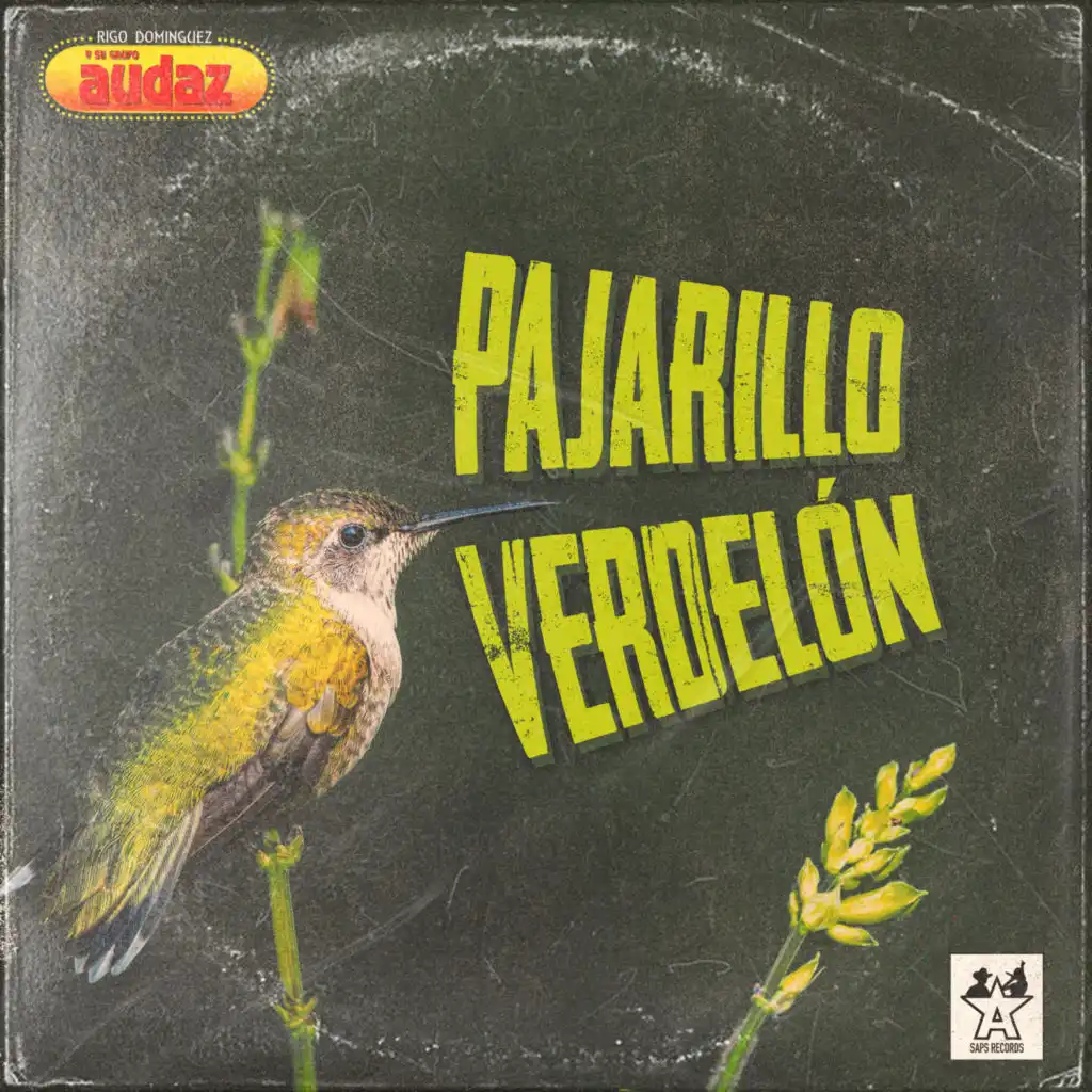 Pajarillo Verdelón