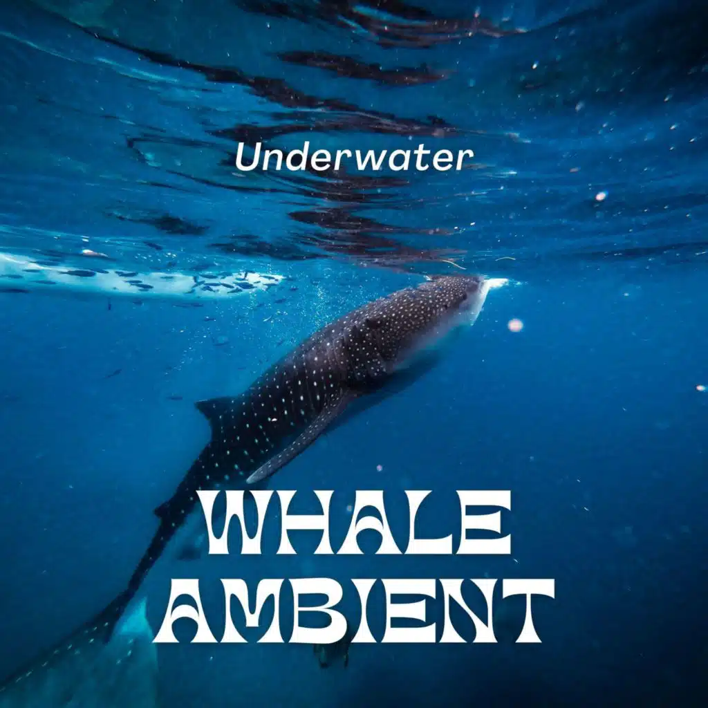 Underwater Whale Ambient