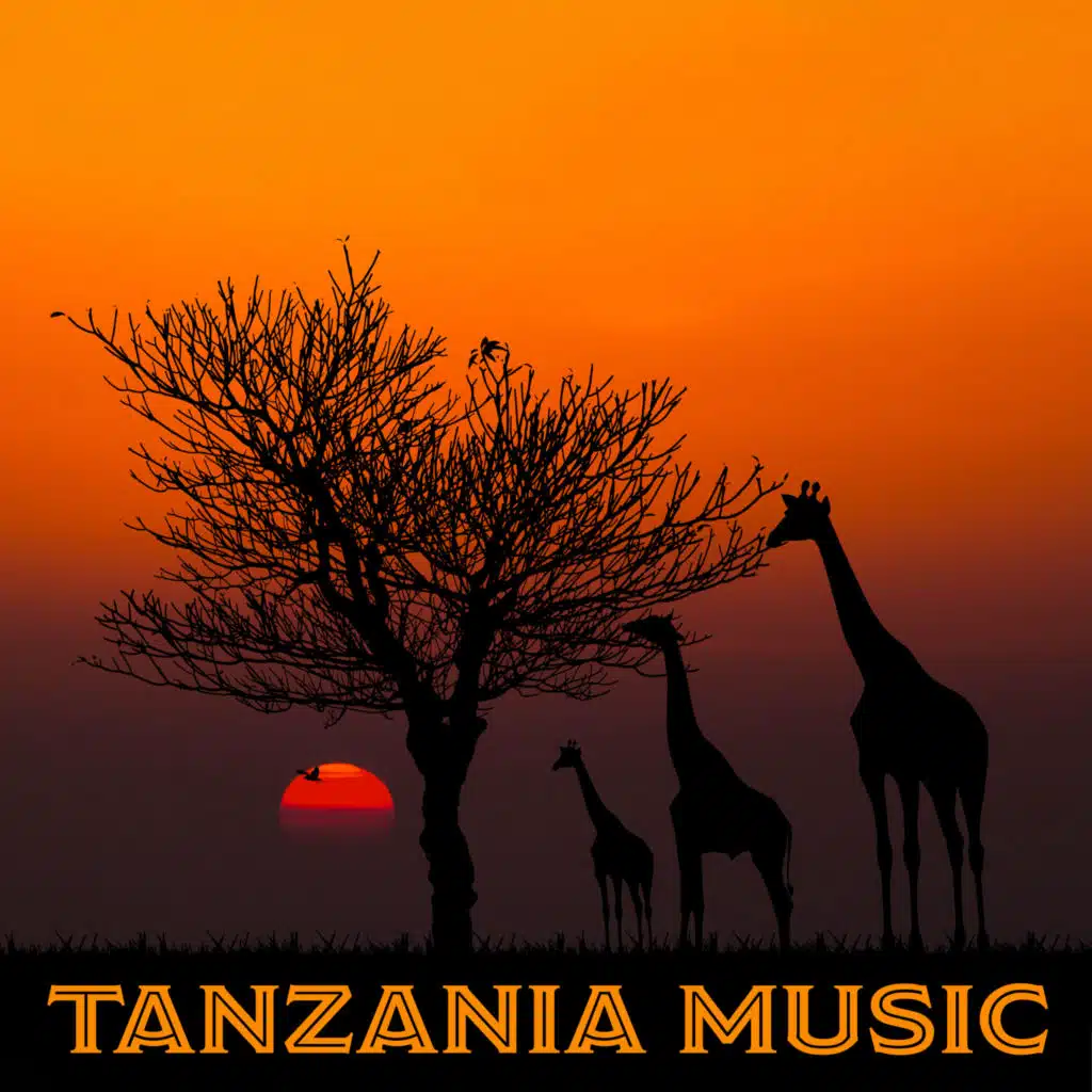 Native World Group, Tribal Drums Ambient & African Music Drums Collection