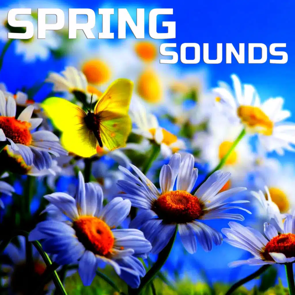 Universal Nature Soundscapes, Nature Sounds TV & Universal White Noise Soundscapes