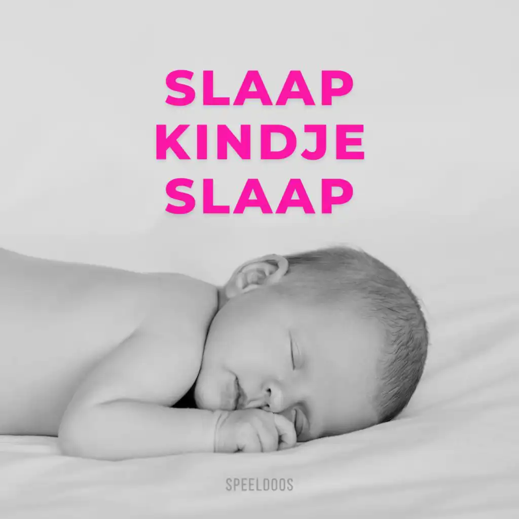 Vijf Kleine Aapjes (Speeldoos)