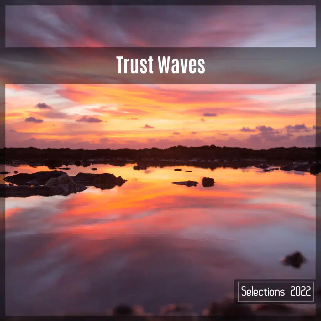 Trust Waves Selections 2022