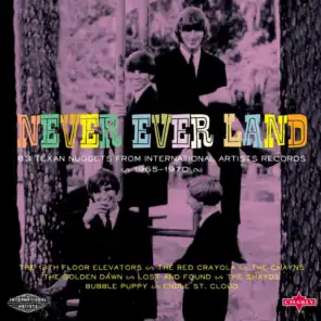 Never Ever Land - 83 Texan Nuggets from International Artists Records 1965-1970