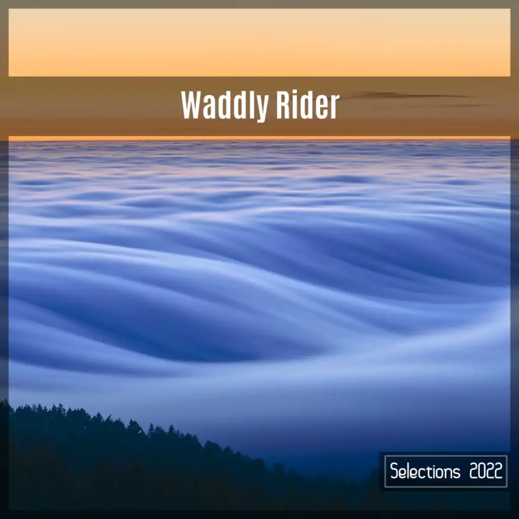 Waddly Rider Selections 2022