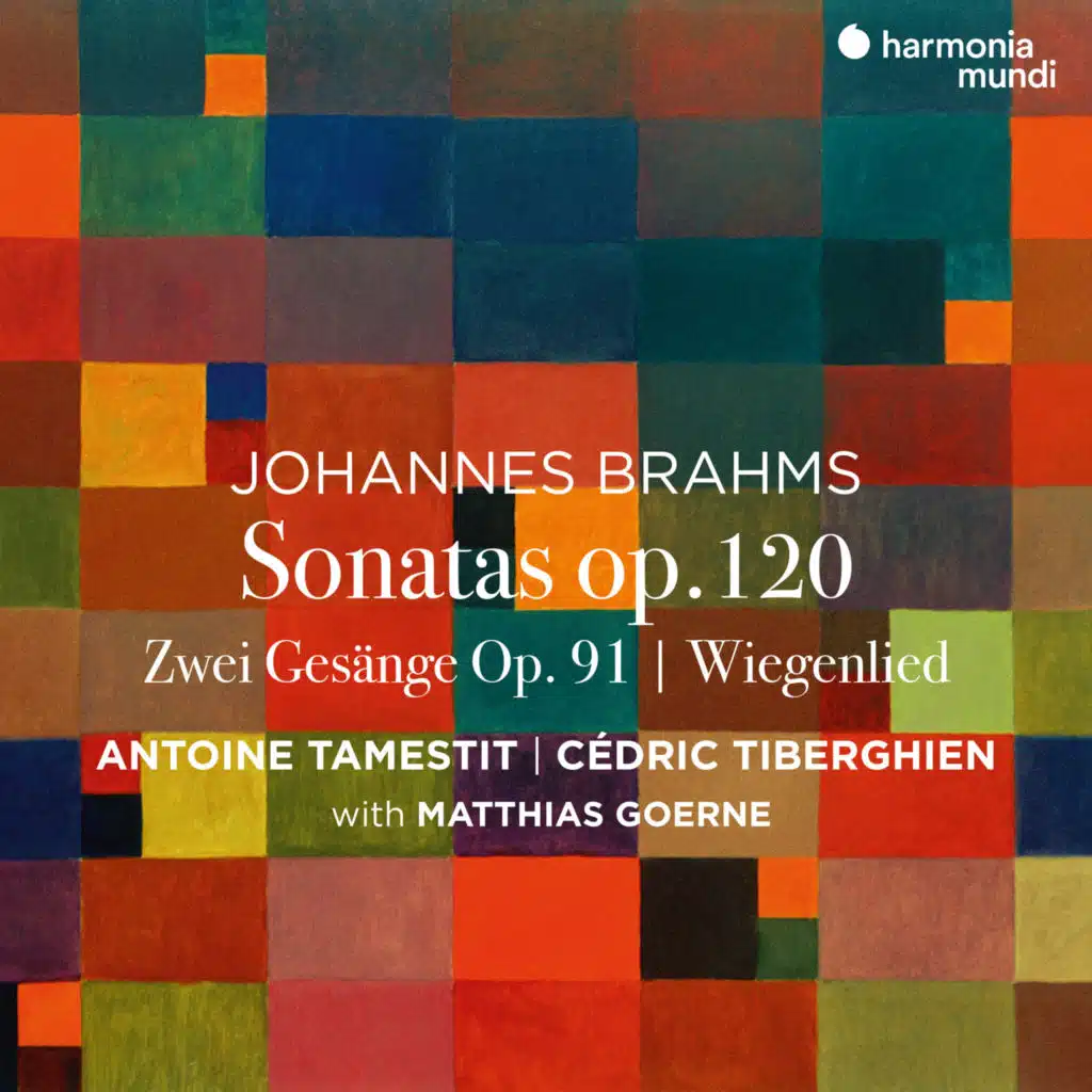 Viola Sonata in F Minor, Op. 120 No. 1: II. Andante un poco adagio