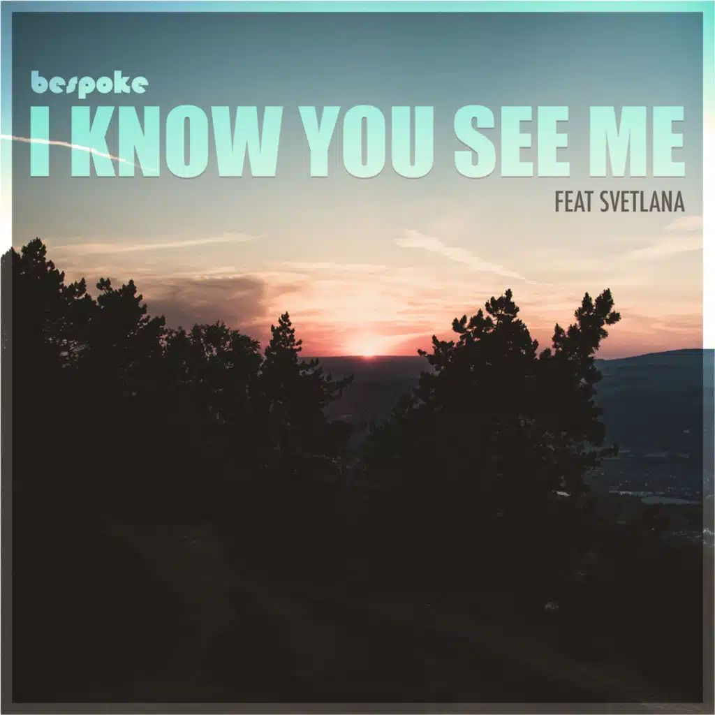 I Know You See Me (feat. Svetlana)
