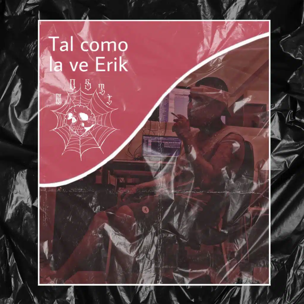 Tal como la ve Erik