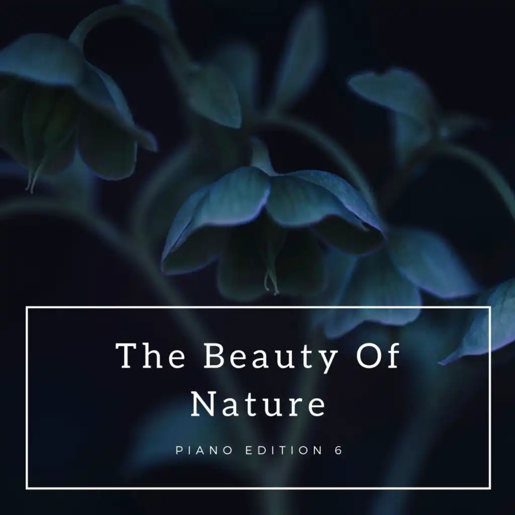 The Beauty of Nature (Piano Edition 6)