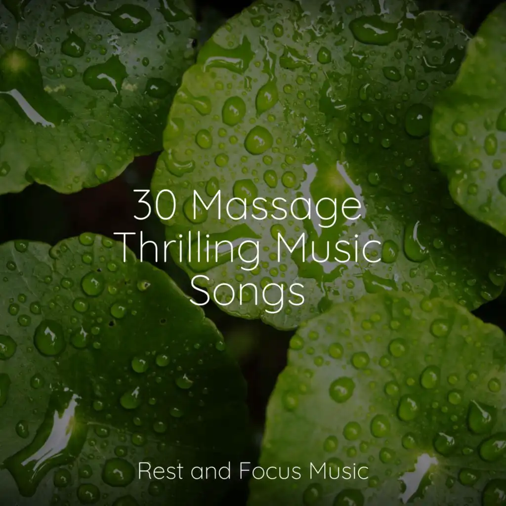 30 Massage Thrilling Music Songs