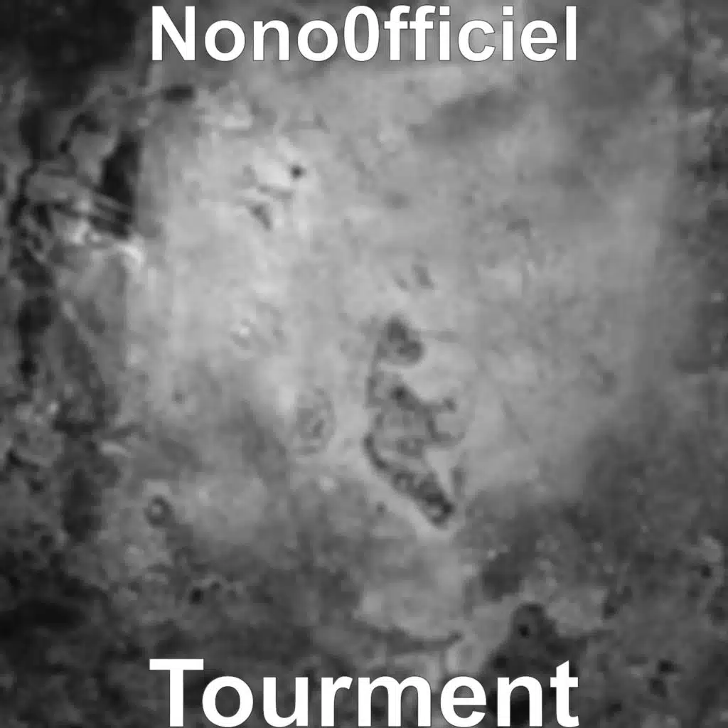 Nono0fficiel