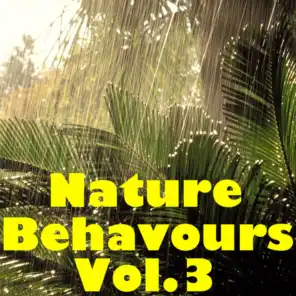 Nature Behaviours, Vol.3