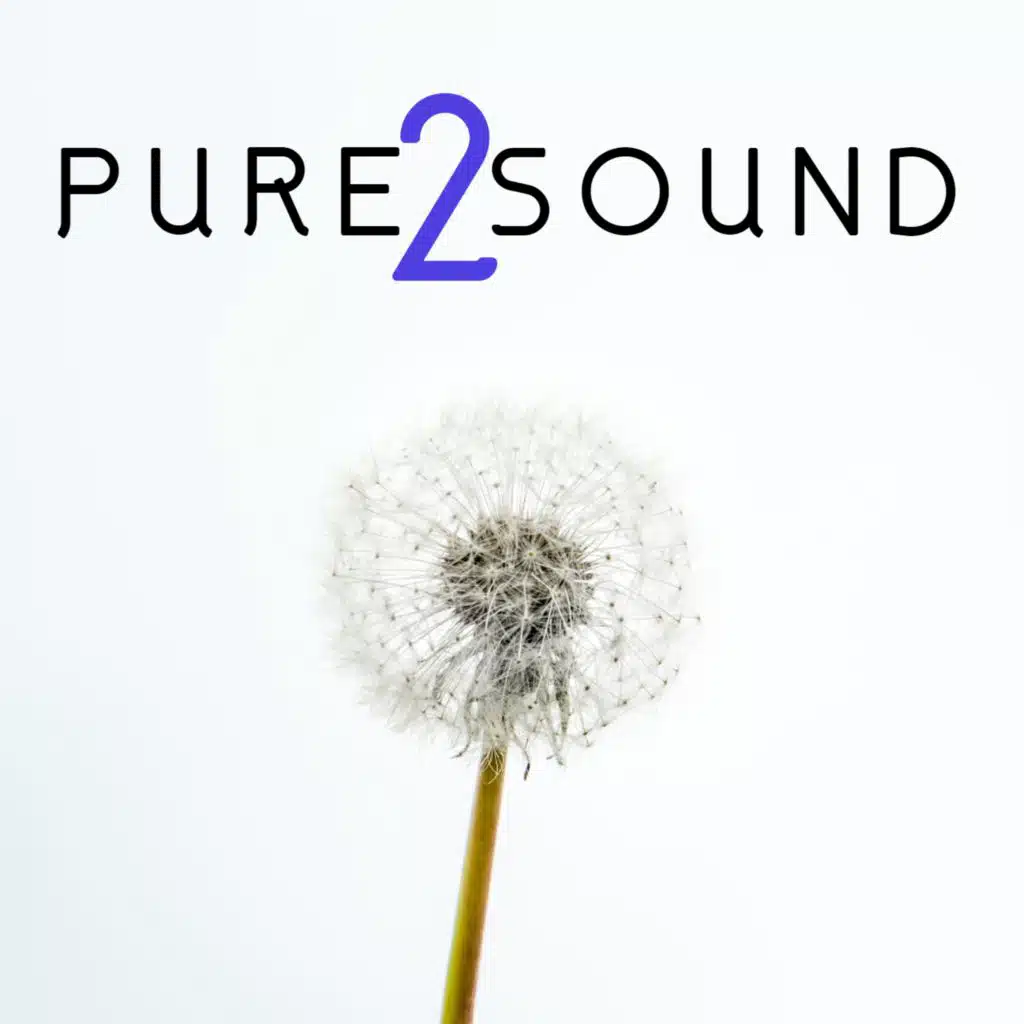 Pure Sound 2