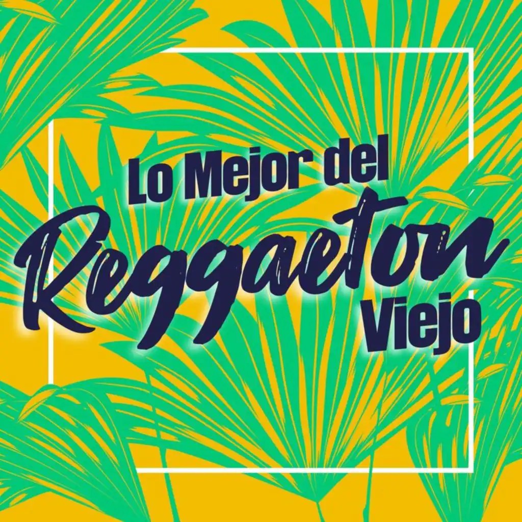 Lo Mejor del reggaeton Viejo