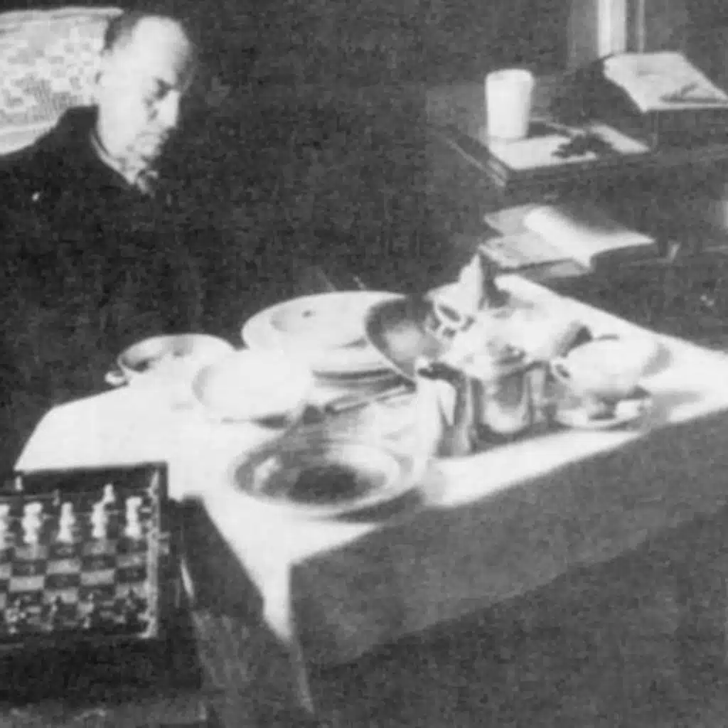 I Wish I Was a Flower