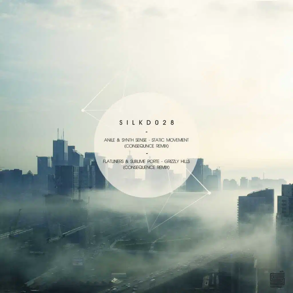 Static Movement / Grizzly Hills (Consequence Remix)