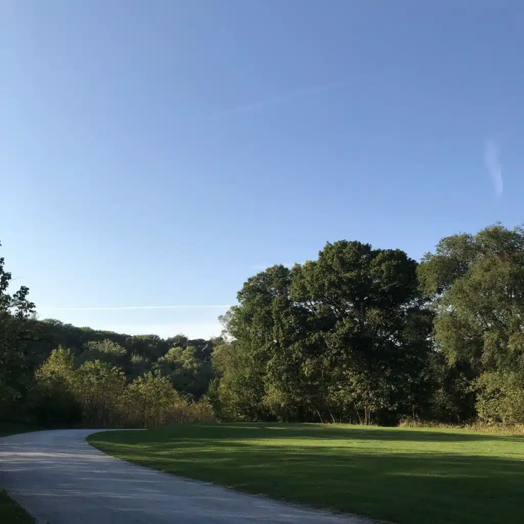 A Backwards Love Story