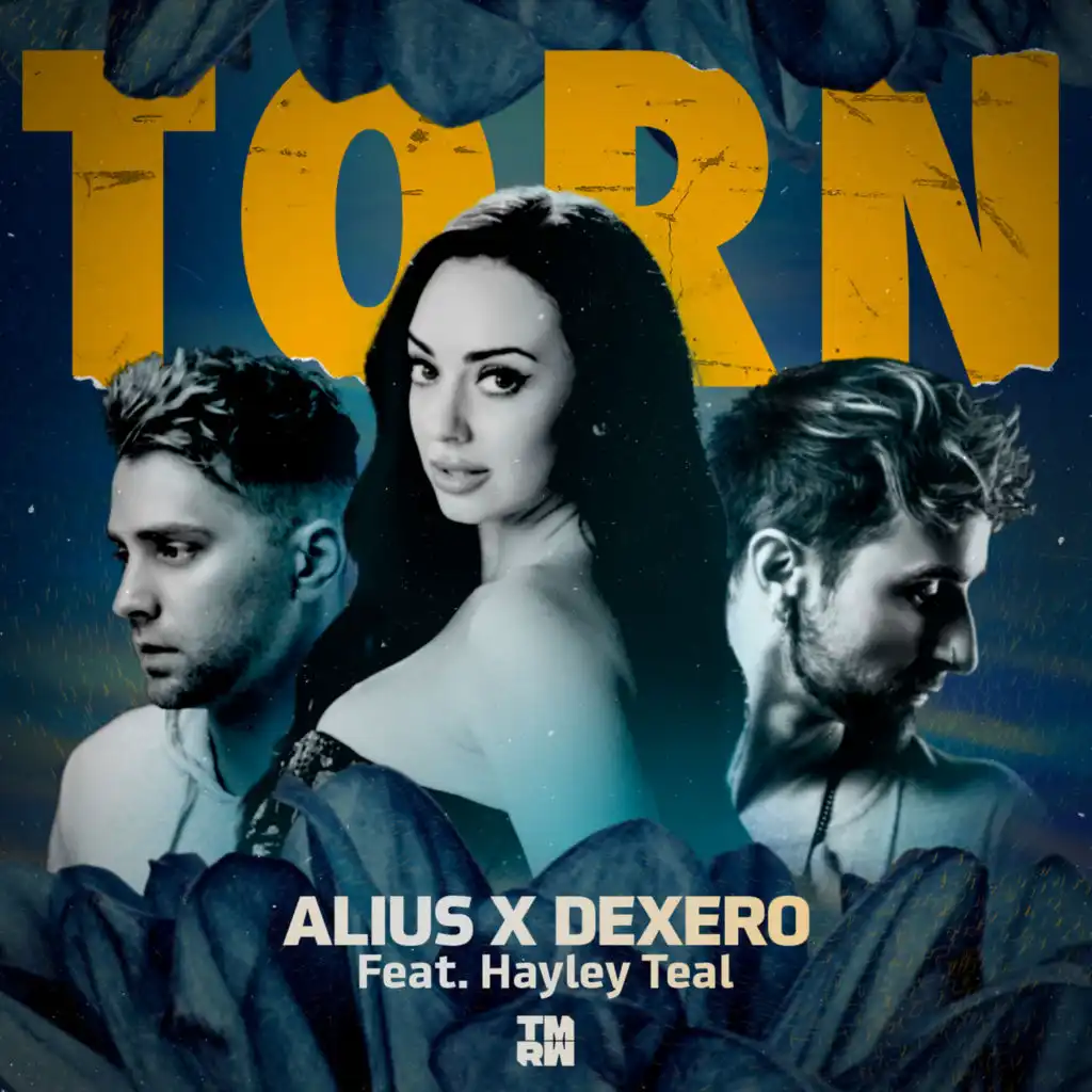 Torn (feat. Hayley Teal)