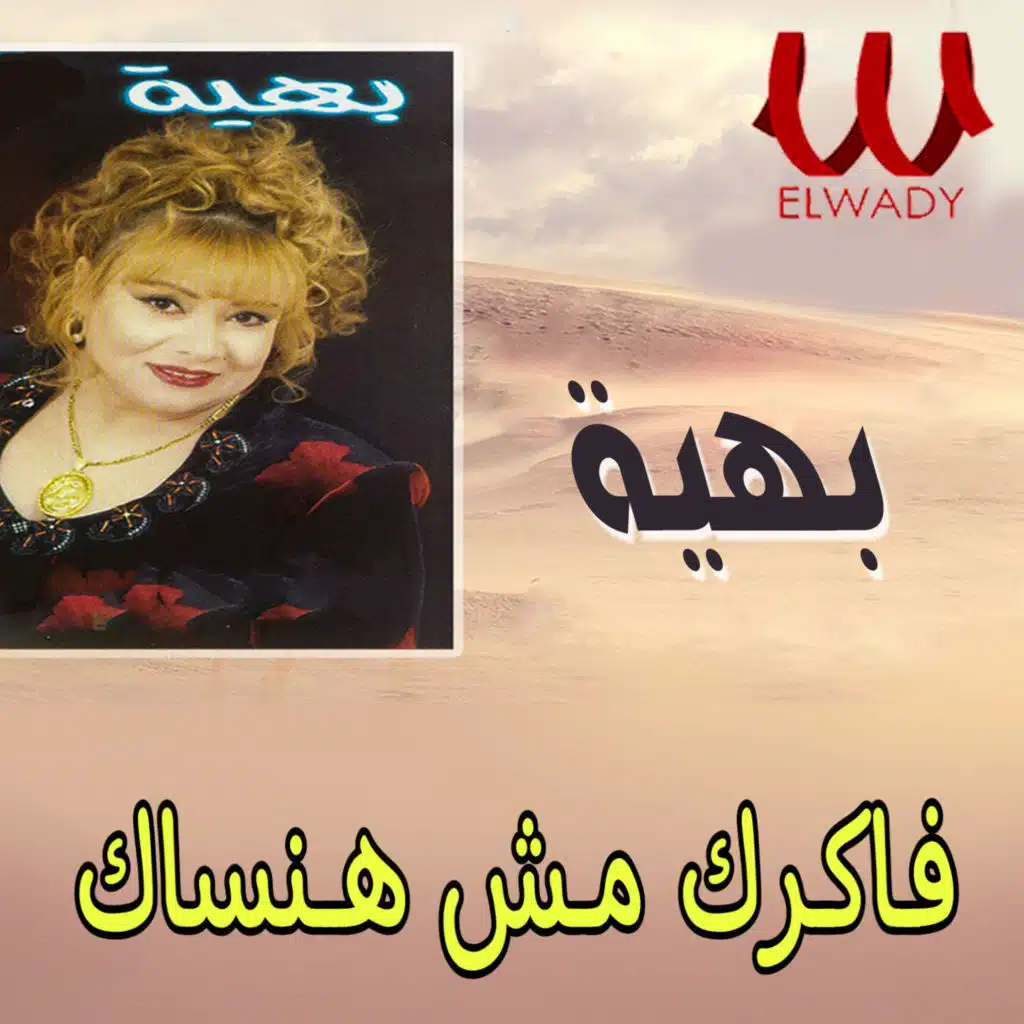 فاكرك مش هنساك