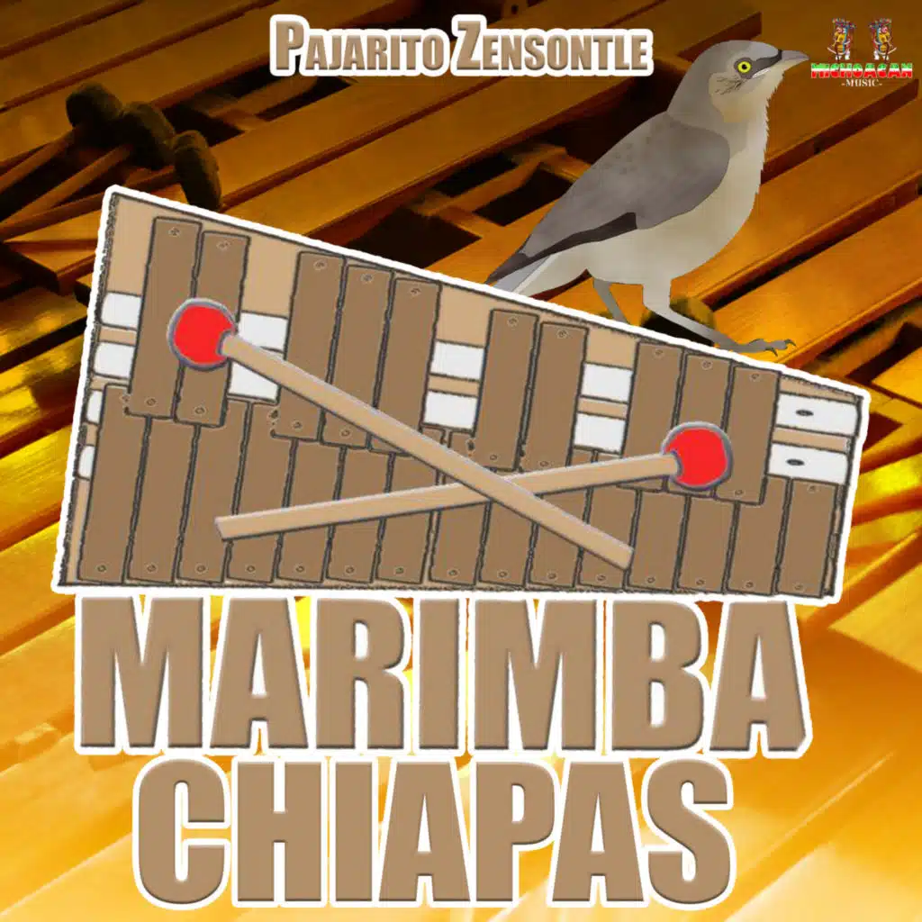 Pajaro Cenzontle