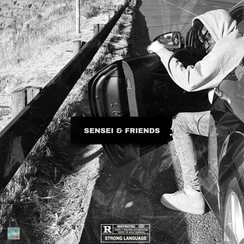 Sensei & Friends