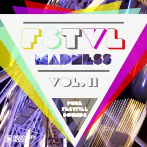 FSTVL Madness, Vol. 12 - Pure Festival Sounds