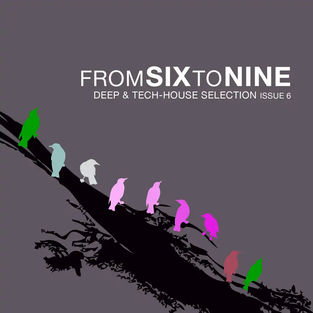 FromSixToNine Issue, Vol. 6 (Deep & Tech House Selection)