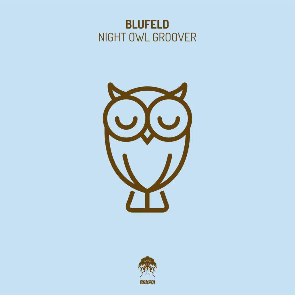 Night Owl Groover