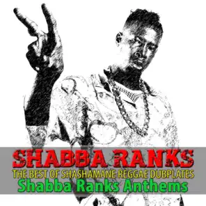 The Best of Shashamane Reggae Dubplates (Shabba Ranks Anthems)