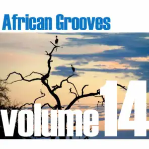 African Grooves Vol.14
