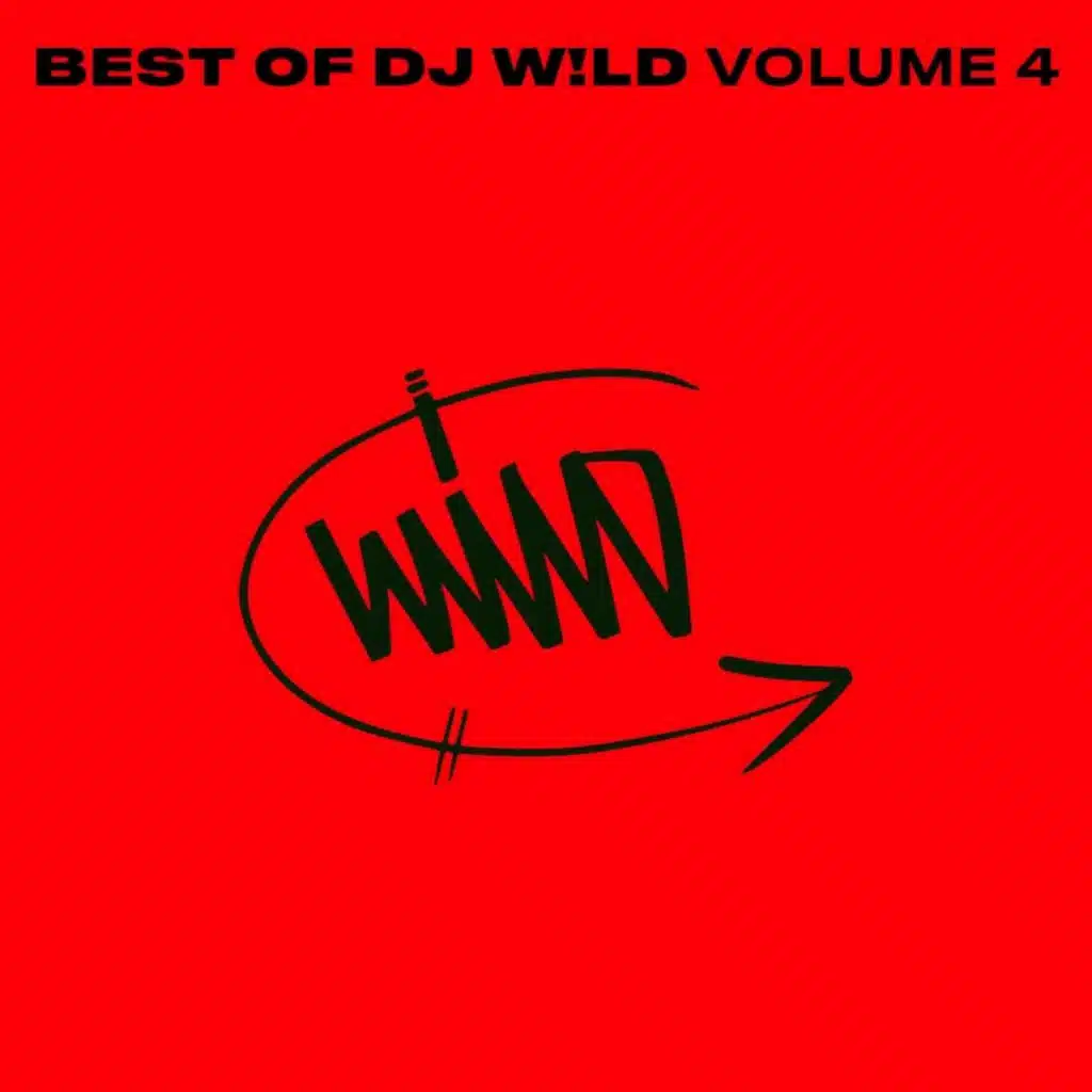 BEST OF DJ W​!​LD, Vol. 4