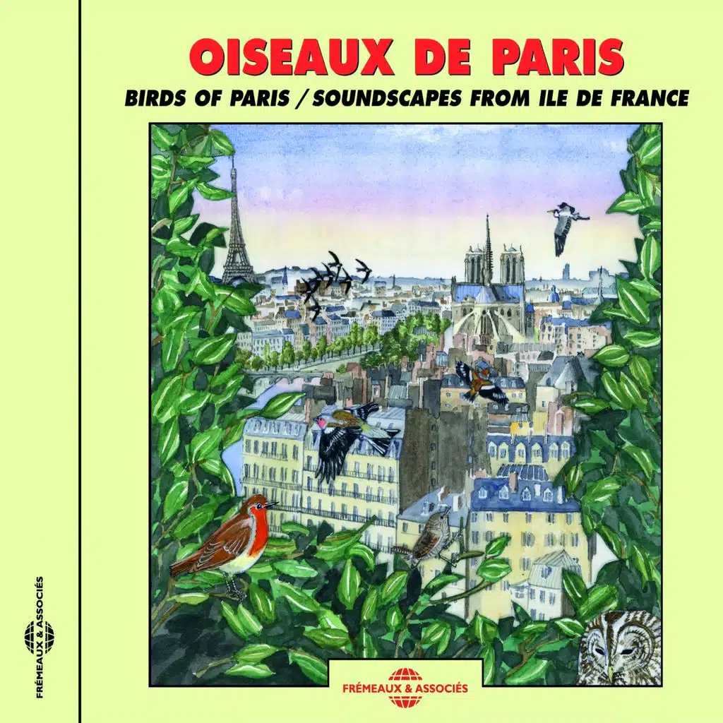 Oiseaux de Paris (Soundscapes from ile de france)