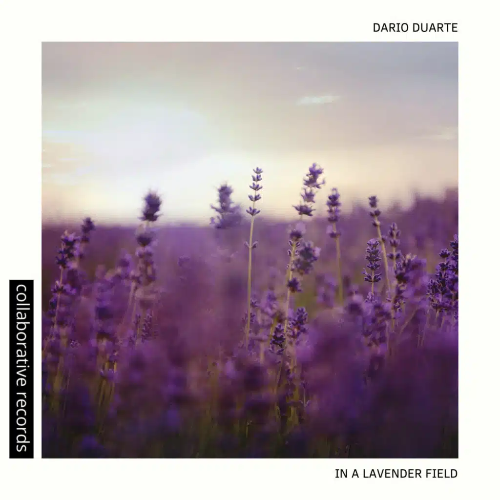In A Lavender Field