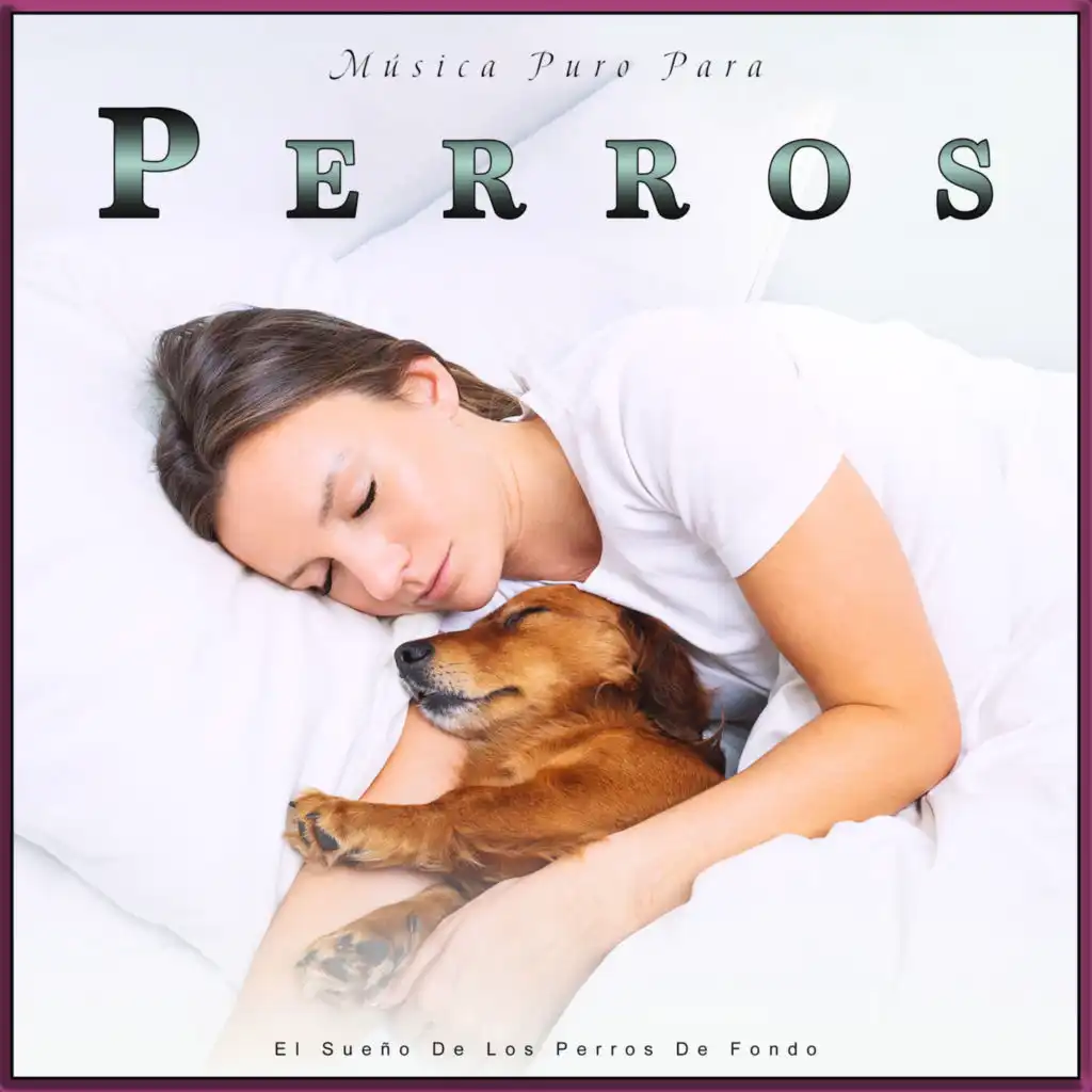 Música de Piano Tranquila para Perros