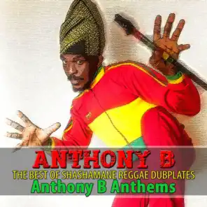 The Best of Shashamane Reggae Dubplates (Anthony B Anthems)