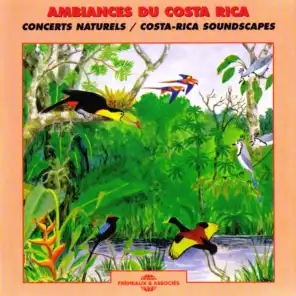 Ambiances du Costa-Rica - Costa-Rica Soundscapes (Concerts naturels)