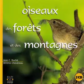 Oiseaux des forêts et des montagnes - Birds of the Forests and Mountains