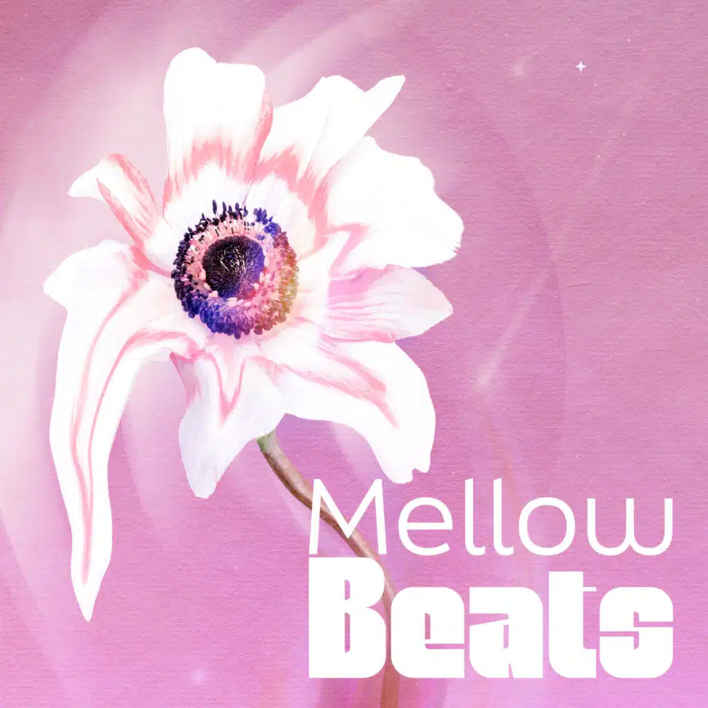 Mellow Beats: Hip Hop, Rap, Trap, Chillhop Compilation 2022