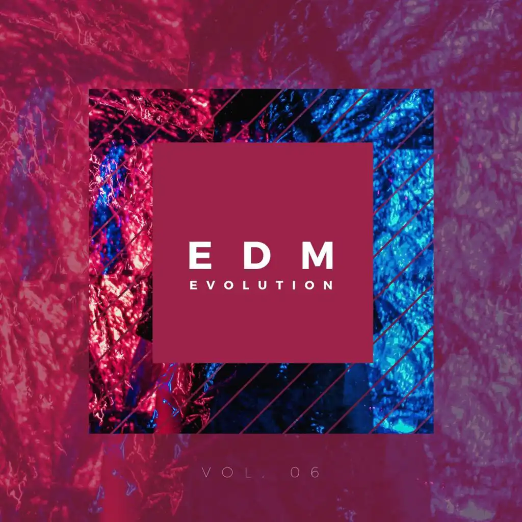 EDM Evolution - Vol. 06