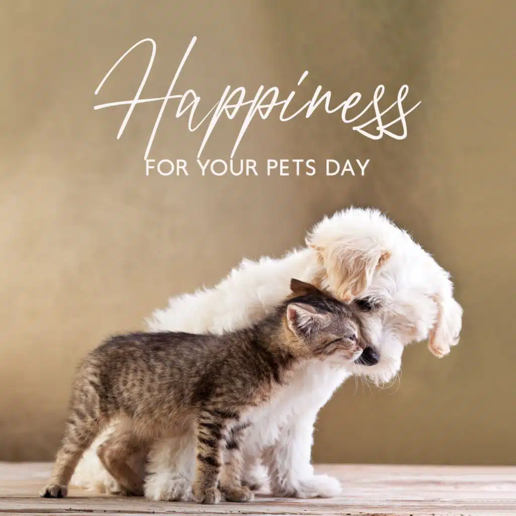 Happiness for Your Pets Day (Relaxing Moment for Little Friend, Deep Sleep Music for Puppy, World Pet Day Celebration)