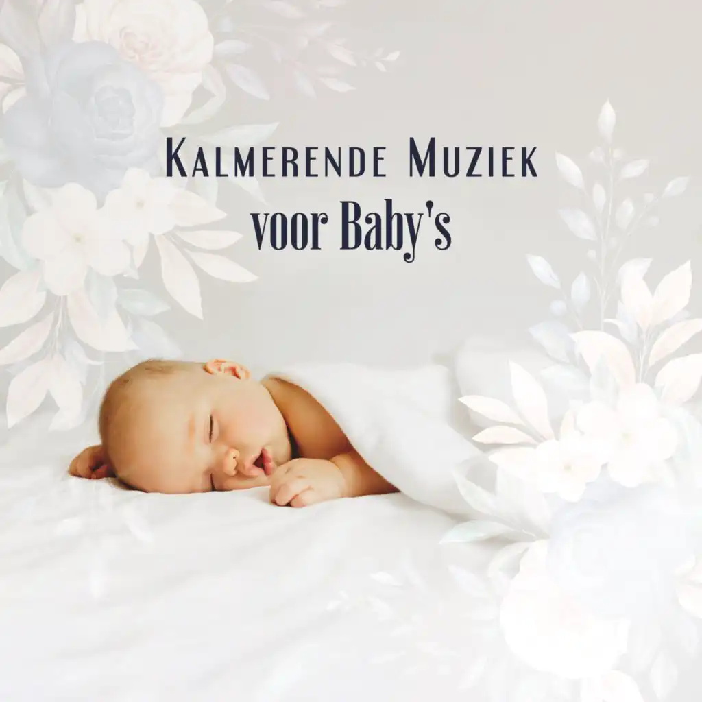 Baby Slaap Muziek