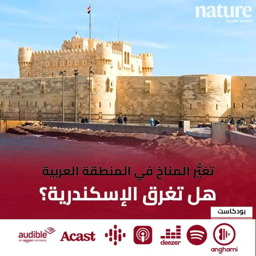 تغيّر المناخ: هل تغرق الإسكندرية؟