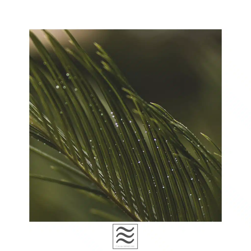 Sonidos de descanso de lluvia ASMR para dormir