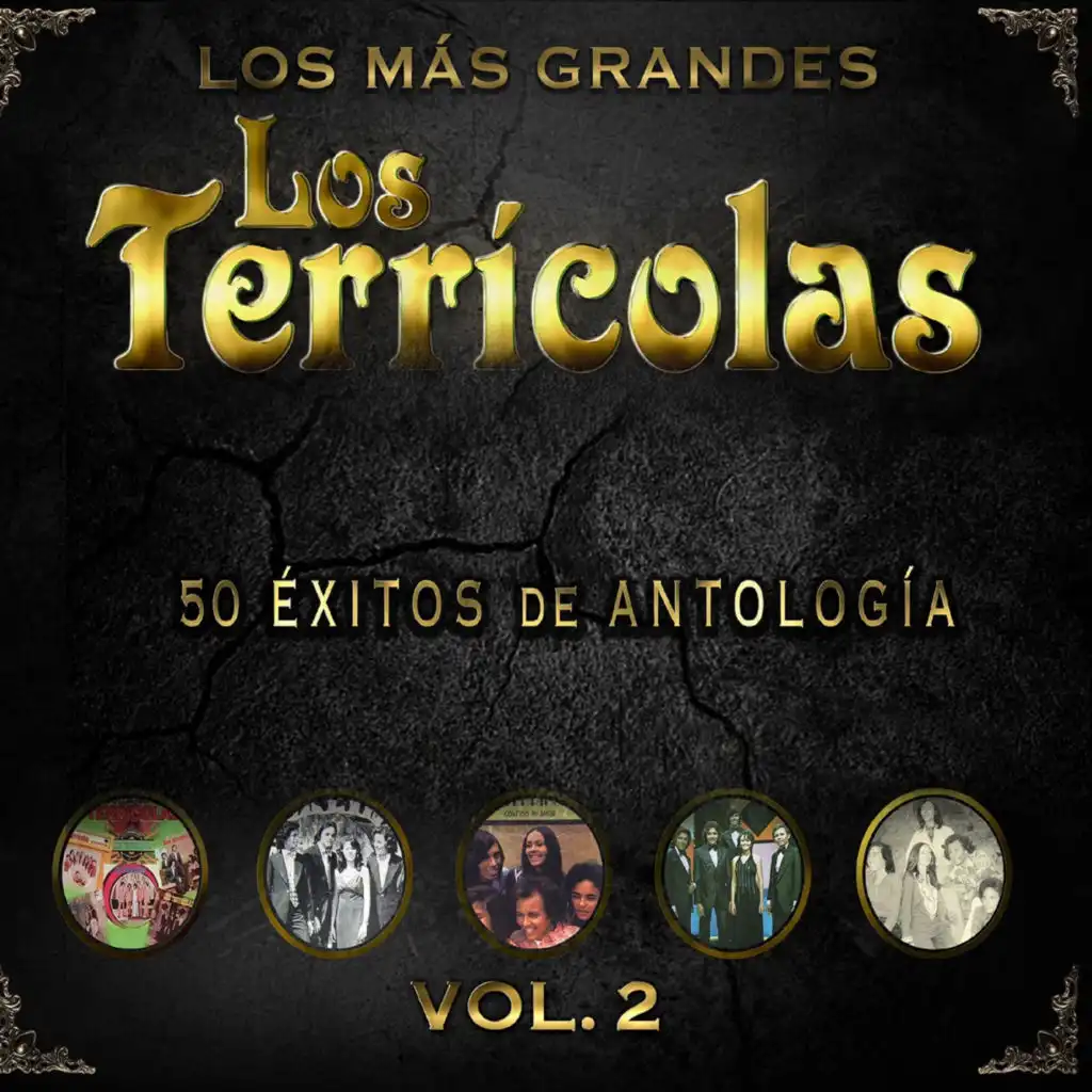 50 Éxitos de Antología, Vol. 2