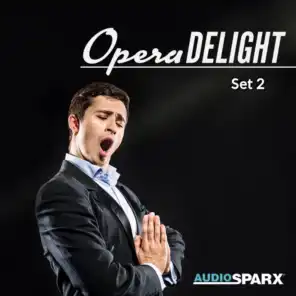 Opera Delight, Set 2