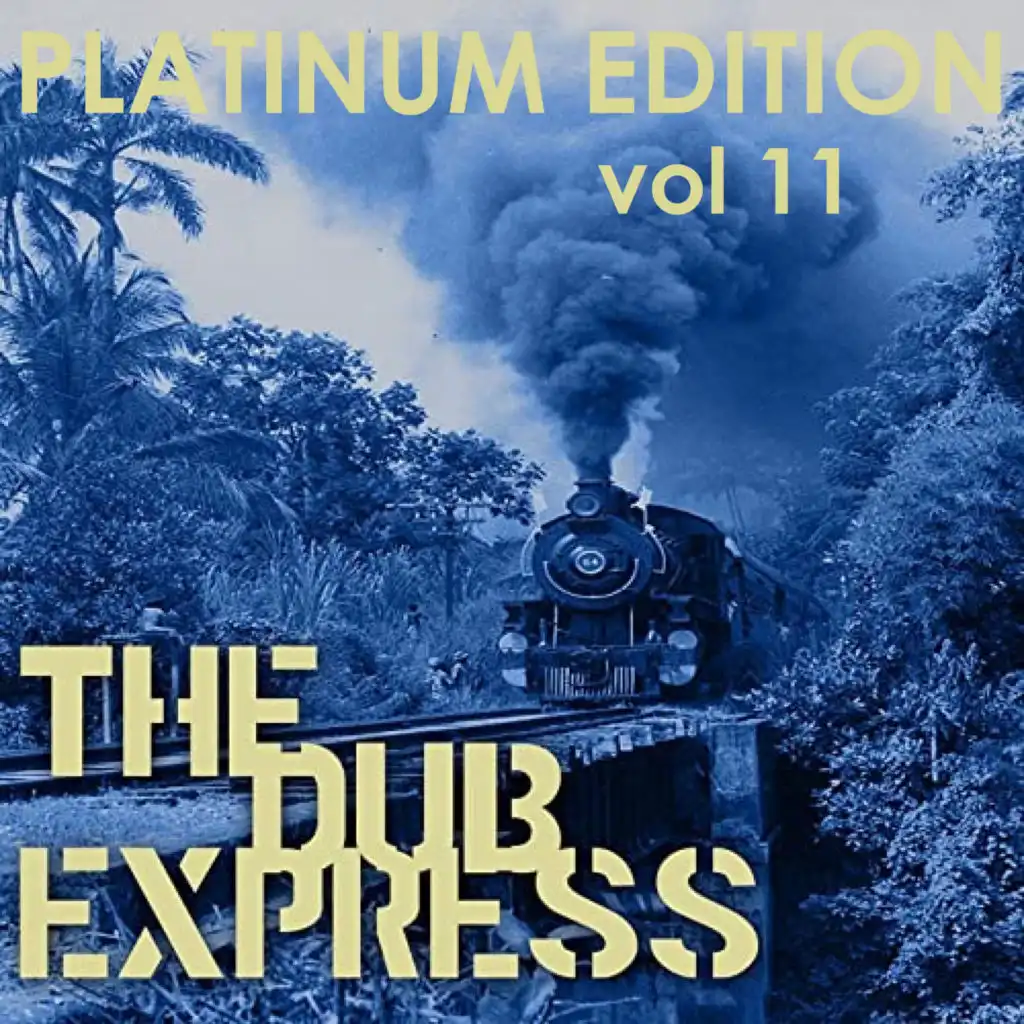 The Dub Express Vol 11 Platinum Edition
