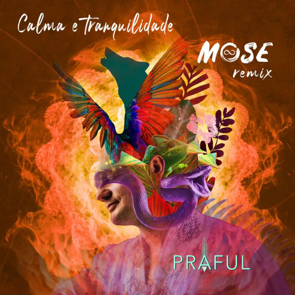 Calma e Tranquilidade (Mose Remix)