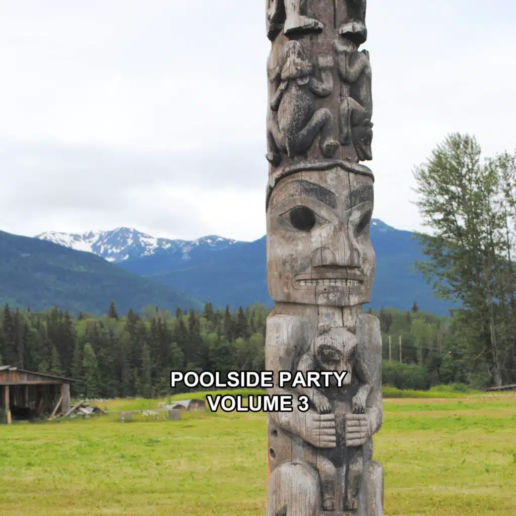 Castle in the Sky (Radio Edit)