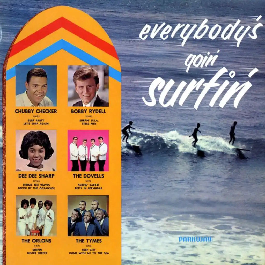 Surf Party (Original Hit Recordings)