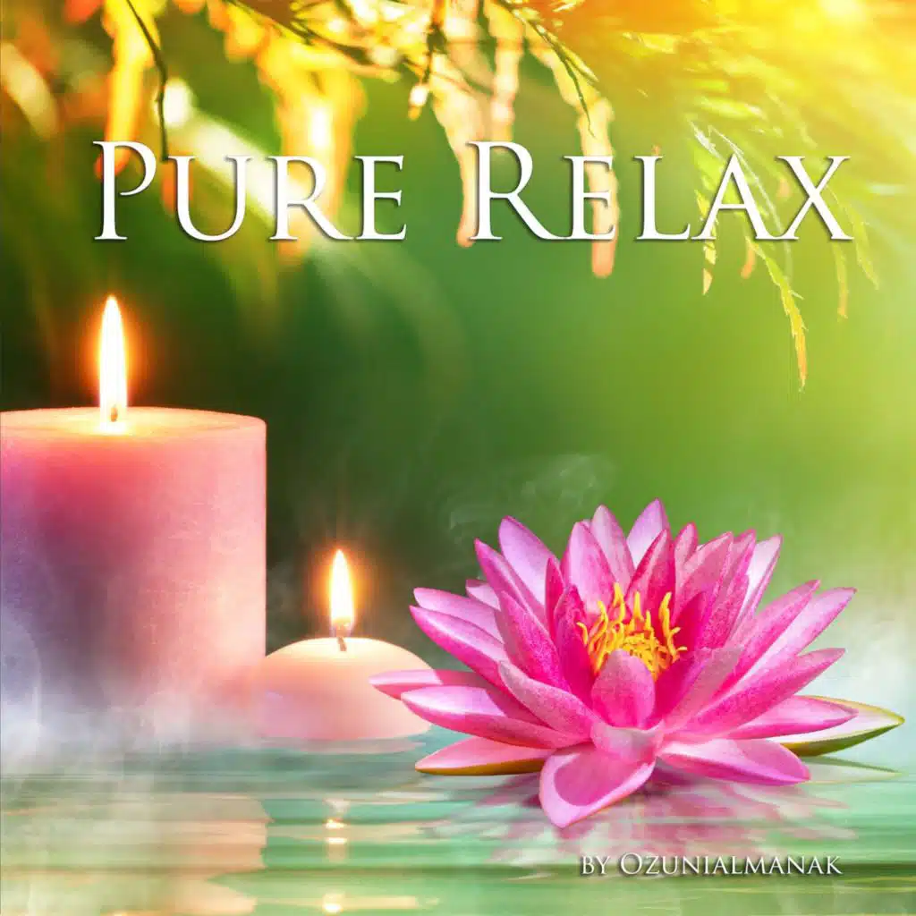 Pure relax (feat. Gianfranco Maffi & Francisco Orsini)